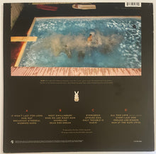 Load image into Gallery viewer, Ron Sexsmith - The Last Rider Lp
