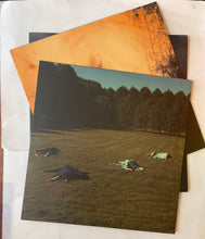 Load image into Gallery viewer, Porcupine Tree - The Incident Lp
