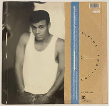 Load image into Gallery viewer, Narada - Divine Emotions (Remix) 12&quot; Single
