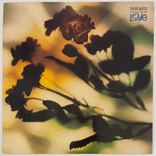 Load image into Gallery viewer, Danny Wilson - The Second Summer Of Love 12&quot; Single
