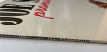 Load image into Gallery viewer, Joe Smooth - Promised Land Lp
