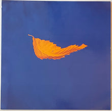 Load image into Gallery viewer, New Order - True Faith / 1963 12&quot; Single
