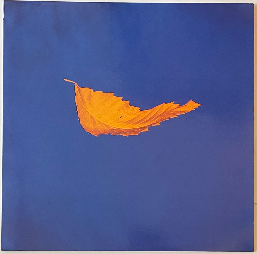 New Order - True Faith / 1963 12