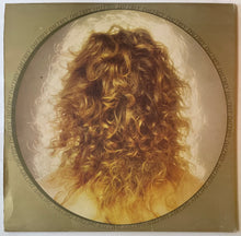 Load image into Gallery viewer, Roger Daltrey - Daltrey Lp
