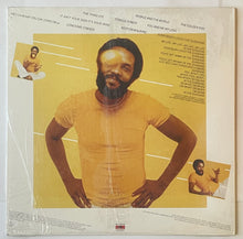 Load image into Gallery viewer, Roy Ayers Ubiquity – Everybody Loves The Sunshine Lp (US Press)
