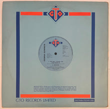Load image into Gallery viewer, Donna Summer - Back In Love Again 12" Single
