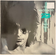 Load image into Gallery viewer, The Waterboys - A Pagan Place Lp
