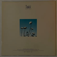 Load image into Gallery viewer, The Creatures - Boomerang Lp
