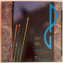 Load image into Gallery viewer, Peter Godwin - Correspondence Lp
