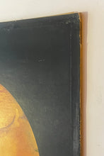 Load image into Gallery viewer, Nektar - Remember The Future Lp
