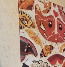 Load image into Gallery viewer, Talk Talk - The Colour Of Spring Lp (Misprint)
