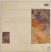 Load image into Gallery viewer, Shannon - Stronger Together 12&quot; Single
