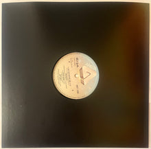 Load image into Gallery viewer, Various - Arista Funksters 12" Single

