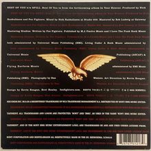 Load image into Gallery viewer, Foo Fighters - Best Of You 7" Single
