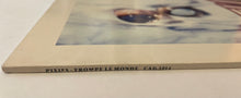 Load image into Gallery viewer, Pixies - Trompe Le Monde Lp
