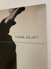 Load image into Gallery viewer, Susumu Yokota - Sound Of Sky Lp
