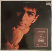 Load image into Gallery viewer, Paul King - Joy Lp
