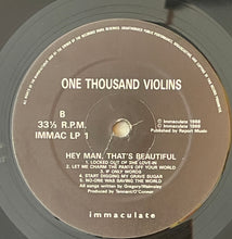 Load image into Gallery viewer, One Thousand Violins - Hey Man That's Beautiful Lp
