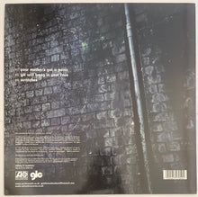 Load image into Gallery viewer, Goldie Lookin Chain - Your Mother's Got A Penis 12" Single
