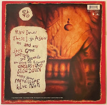 Load image into Gallery viewer, Power Of Dreams - 2 Hell With Common Sense Lp
