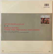 Load image into Gallery viewer, The Rainmakers - Let My People Go-Go 12&quot; Single

