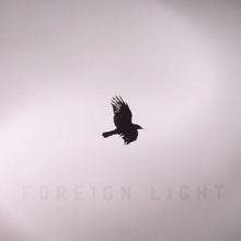 Load image into Gallery viewer, Toddla T ‎– Foreign Light Lp
