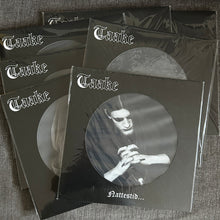 Load image into Gallery viewer, Taake - 7 Fjell Lp Box Set (Ltd 1000, 7x Picture Discs)
