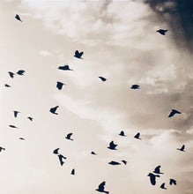 Load image into Gallery viewer, Thrice - Beggars Lp (Ltd Blue/Yellow/ Red 10th Anniversary Edition + Bonus 7&quot;)
