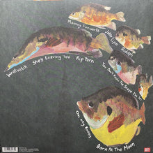 Load image into Gallery viewer, MJ Lenderman ‎– Manning Fireworks Lp
