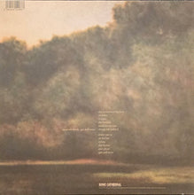 Load image into Gallery viewer, Sarabeth Tucek ‎– Get Well Soon Lp (Ltd)
