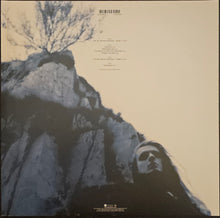 Load image into Gallery viewer, Porcupine Tree - The Sky Moves Sideways Lp (Remastered)
