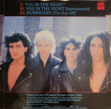 Load image into Gallery viewer, Fashion - You In The Night 12&quot; Single
