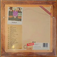 Load image into Gallery viewer, Kneecap - Fine Art Lp (Ltd Picture Disc)
