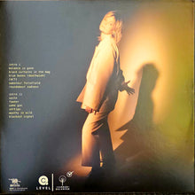 Load image into Gallery viewer, Billy Nomates ‎– Cacti Lp (Ltd Clear)
