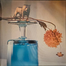 Load image into Gallery viewer, Beirut - Gallipoli Lp
