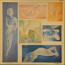 Load image into Gallery viewer, The Boomtown Rats- The Fine Art Of Surfacing Lp
