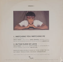 Load image into Gallery viewer, David Grant - Watching You Watching Me (Extended Version) 12&quot; Single
