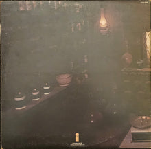 Load image into Gallery viewer, Sandy Denny ‎– The North Star Grassman And The Ravens Lp (First Press)
