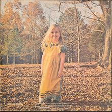 Load image into Gallery viewer, The Allman Brothers Band - Brothers And Sisters Lp
