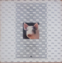 Load image into Gallery viewer, The Monroes - (Stay With Me) Jeanette (Extended Remix) 12&quot; Single

