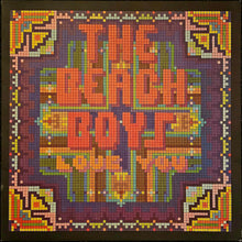 Load image into Gallery viewer, The Beach Boys - Love You Lp
