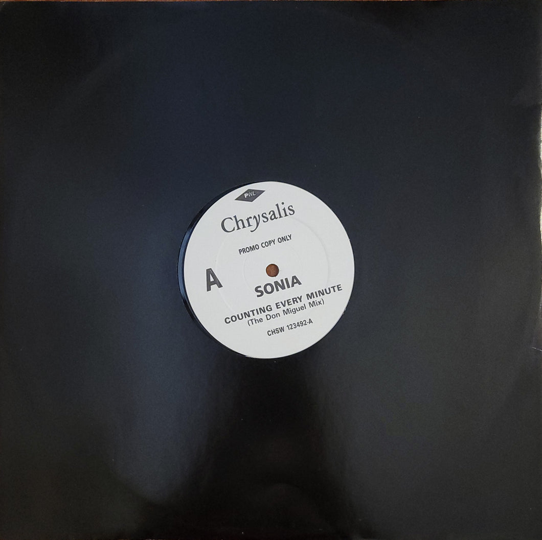 Sonia - Counting Every Minute (Remix) 12