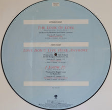 Load image into Gallery viewer, Madonna - The Look Of Love 12&quot; Single (Picture Disc)
