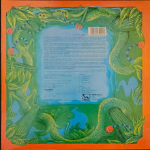 Load image into Gallery viewer, Hawkwind - Hawkwind Lp
