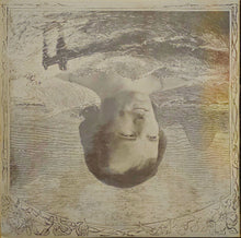 Load image into Gallery viewer, Michael Chapman - Fully Qualified Survivor Lp (First Press)
