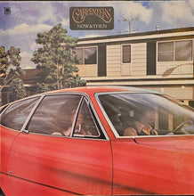 Load image into Gallery viewer, Carpenters - Now &amp; Then Lp
