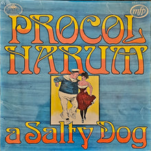 Load image into Gallery viewer, Procol Harum - A Salty Dog Lp
