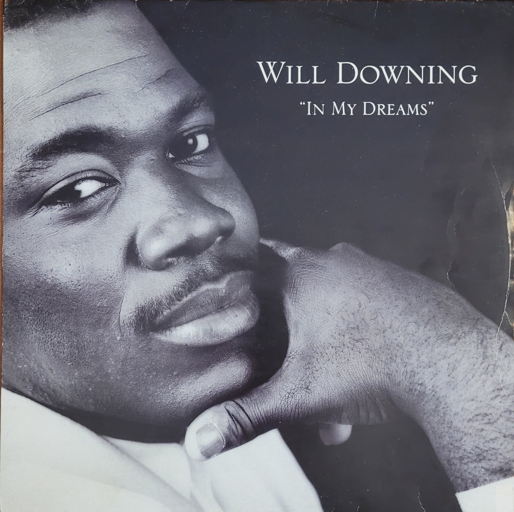 Will Downing - In My Dreams 12