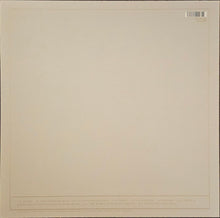 Load image into Gallery viewer, Aldous Harding ‎– Party Lp
