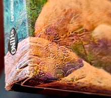 Load image into Gallery viewer, Yes - Yes 50 Live Lp
